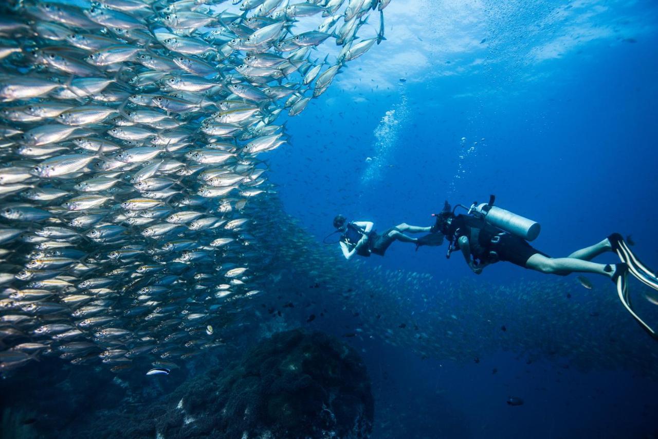 Jamahkiri Dive & सहारा Koh Tao